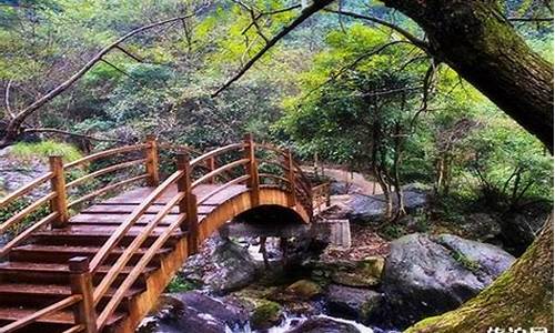 问道新开服:九天仙路,修行有礼,《问道私服等你来感受修真之道!(问道九天玄女图片)