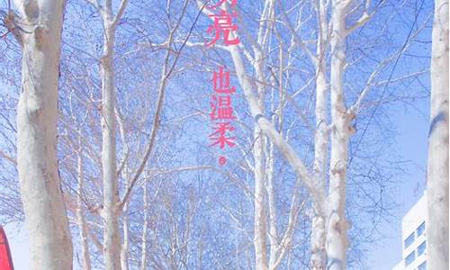 最新问道sf:想感受私服魅力?私服发布网让您畅享私服游戏精彩